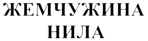 (изобразительный знак)