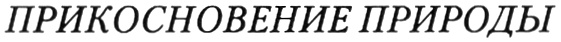(изобразительный знак)