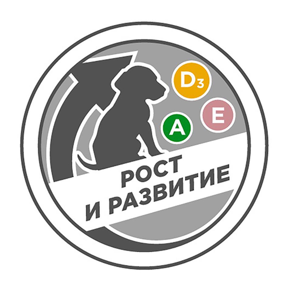 Изображение товарного знака (изобразительный знак)
