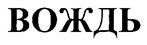 Изображение товарного знака (изобразительный знак)