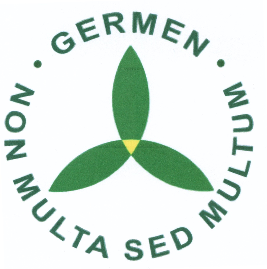 Изображение товарного знака GERMEN NON MULTA SED MULTUM