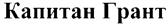 Изображение товарного знака (изобразительный знак)