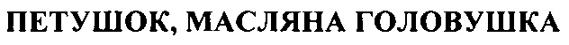 (изобразительный знак)