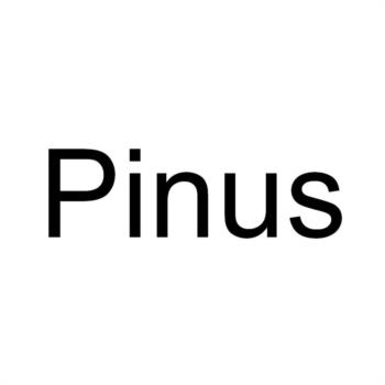 Pinus