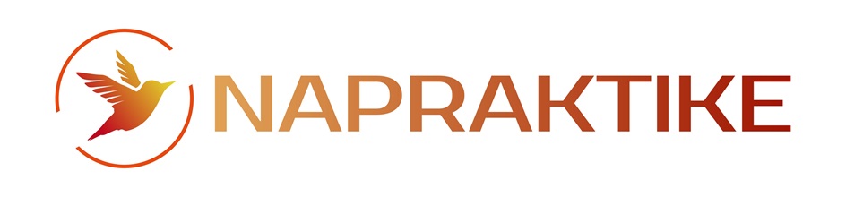 Изображение товарного знака NAPRAKTIKE