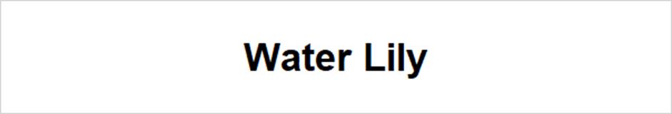 Water Lily