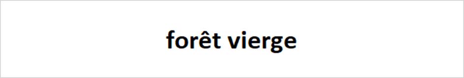 forêt vierge