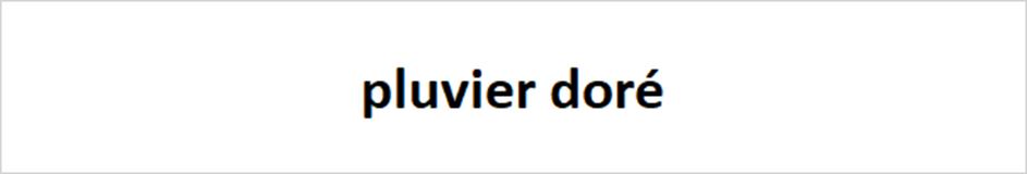 pluvier doré