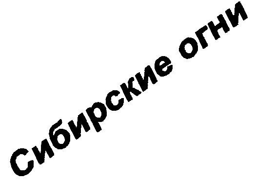 Изображение товарного знака (изобразительный знак)