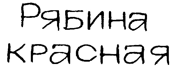 Изображение товарного знака (изобразительный знак)